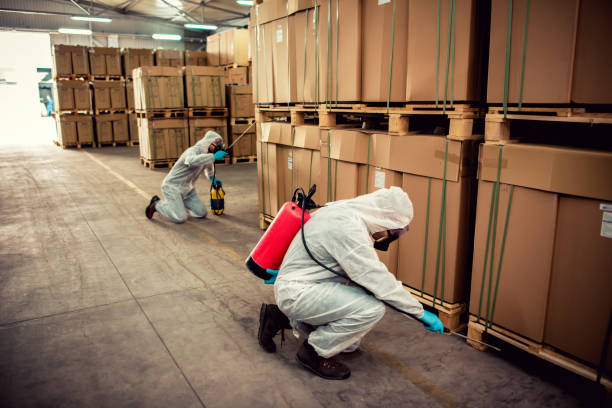 Best Termite Control Services  in Canastota, NY