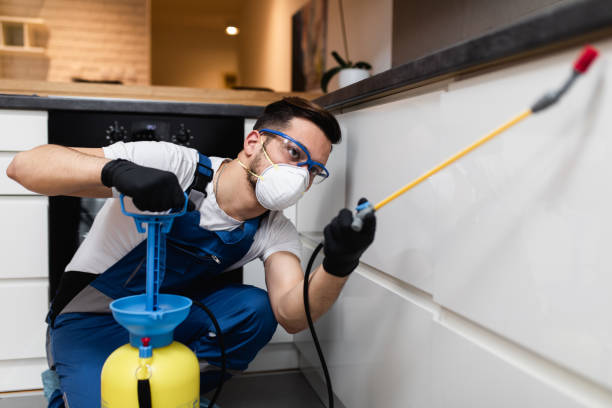 Best Wasp Removal Services  in Canastota, NY