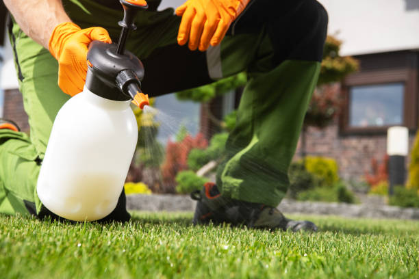 Best Pest Control Near Me  in Canastota, NY