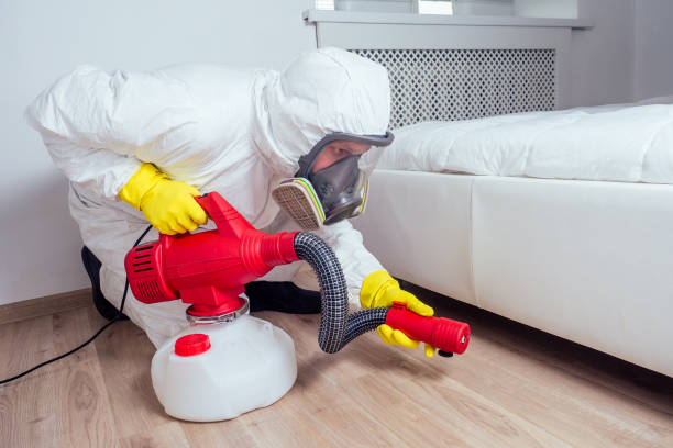 Best Insect Control  in Canastota, NY
