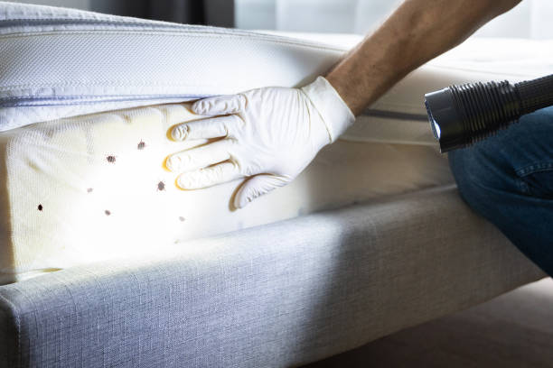 Professional Pest Control in Canastota, NY
